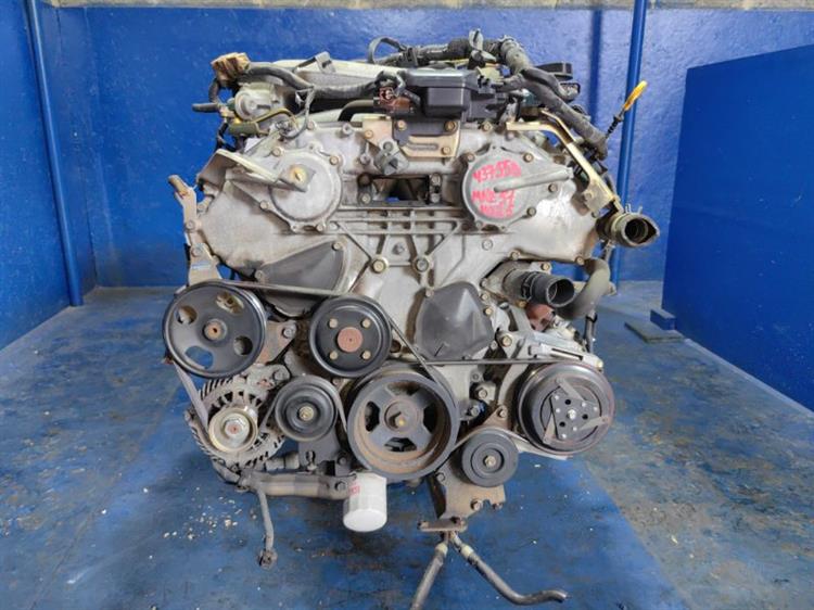 Двигатель Ниссан Эльгранд в Орехово-Зуево 437558